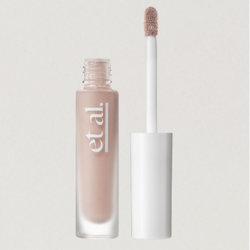 Cream Concealer Intelligent Skin