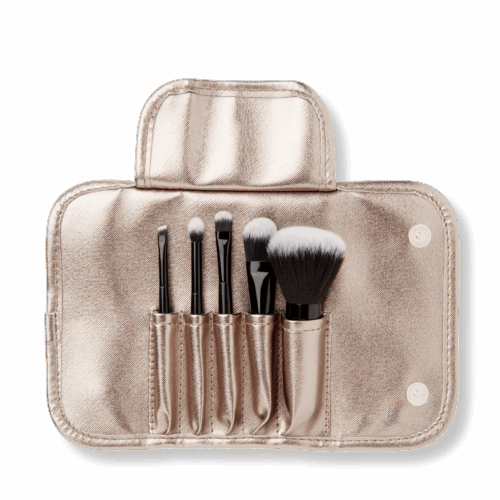 5-Piece Mini Makeup Brush Set